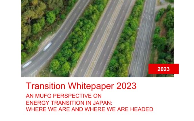 Transition Whitepaper 2023