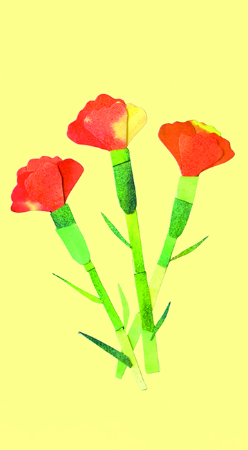 母に送りたかったカーネーション