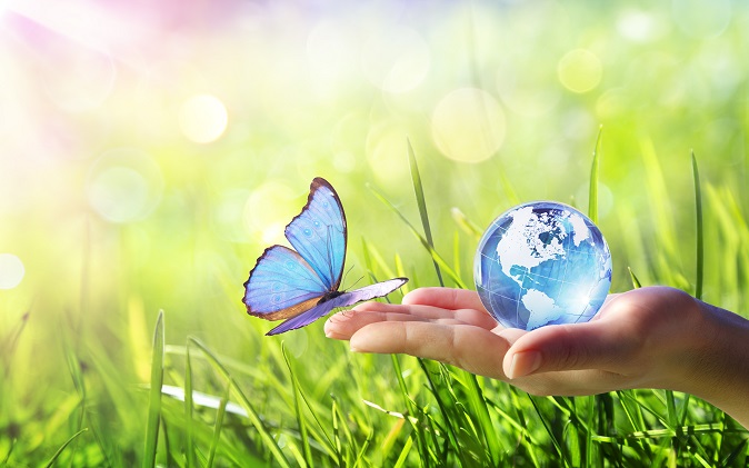 サステナビリティレポート