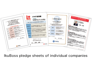 IkuBoss pledge sheets of individual companies