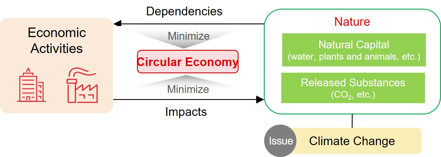 The Importance and Significance of a Circular Economy