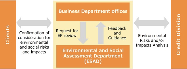 Environmental and Social Risk and Impact review structure