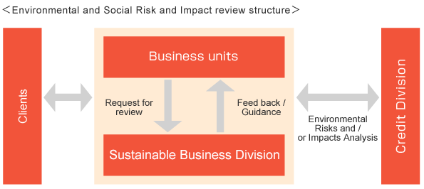 Environmental and Social Risk and Impact review structure