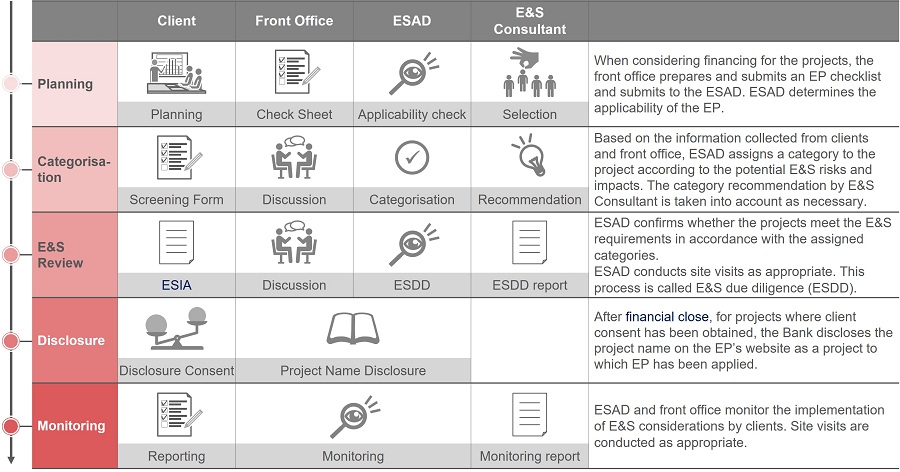 Environmental and Social Risk and Impact review structure