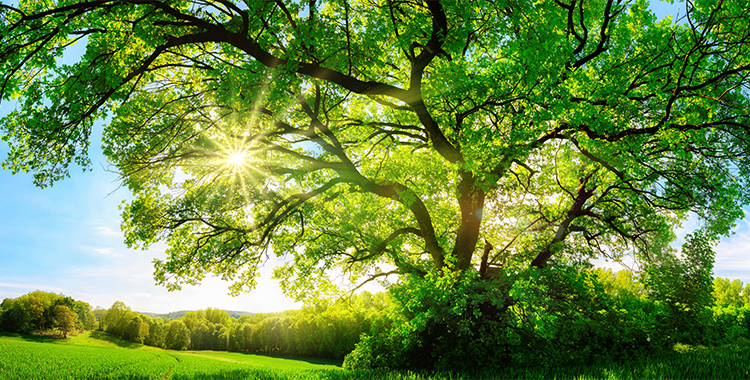 環境への取り組み