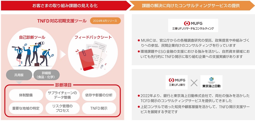 マングローブ植林活動の推進