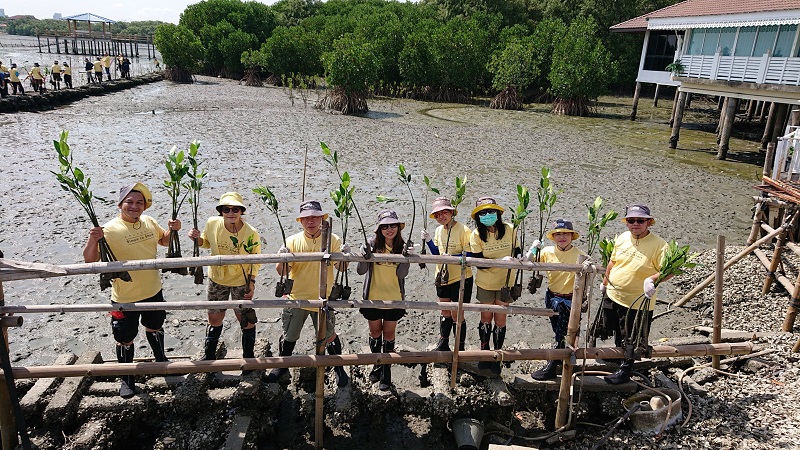 Mangrove Reforestation Activity