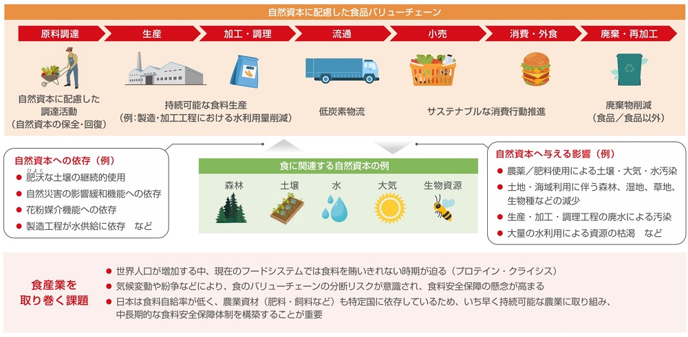 マングローブ植林活動の推進