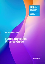 NZBA Transition Finance Guide