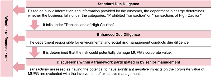 The Process of Identifying and Assessing the Environmental and Social Risks or Impacts of a Business to be Financed