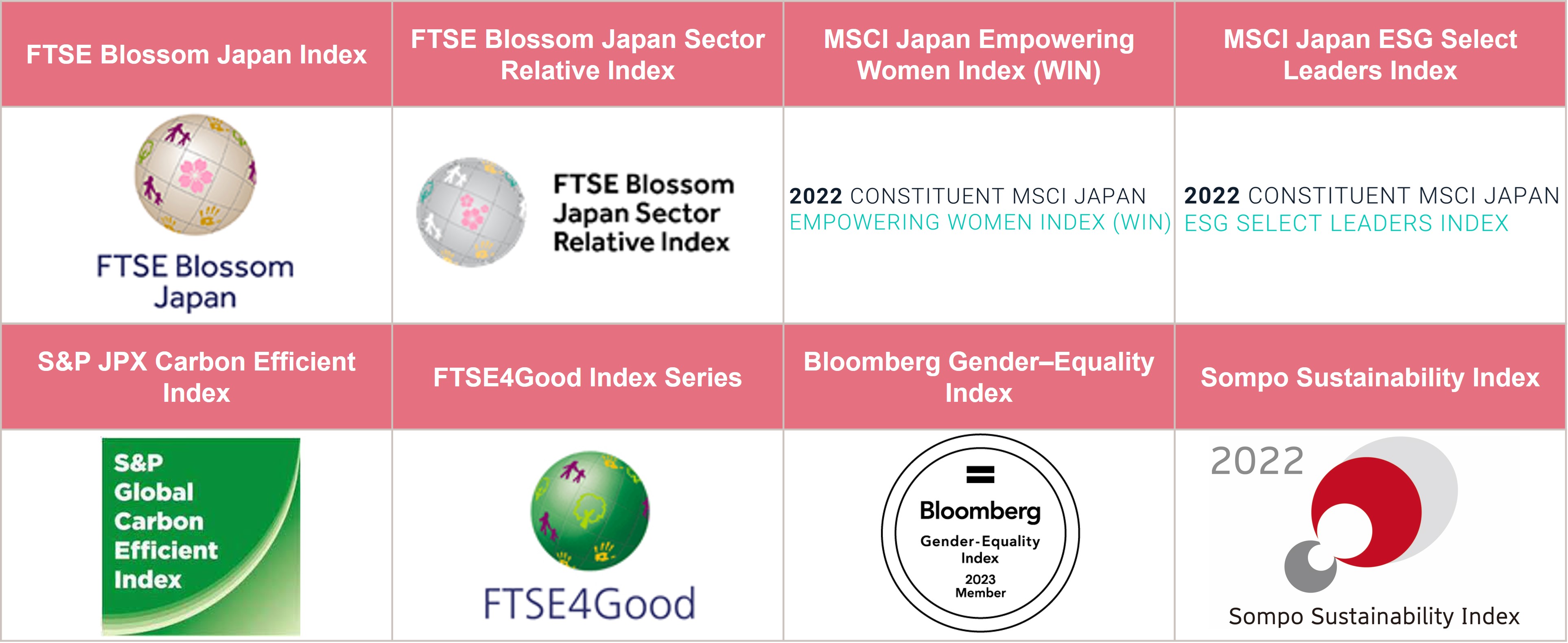 New elements of the ESG Index