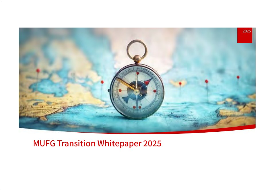 Transition Whitepaper 2025