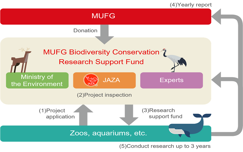 The mechanism of the MUFG Biodiversity Conservation Research Support Fund