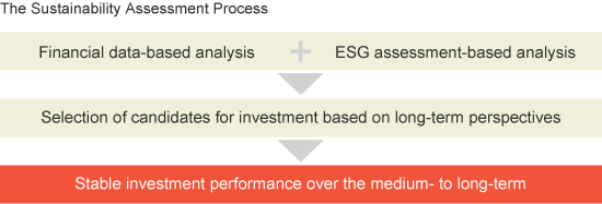 The Sustainability Assessment Process