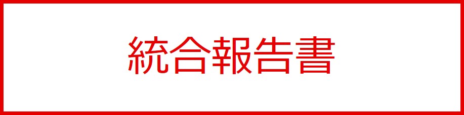 統合報告書