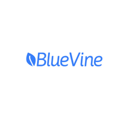 Bluevine Capital Inc.