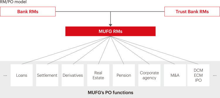 RM/PO model