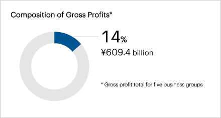 Composition of Gross Profits