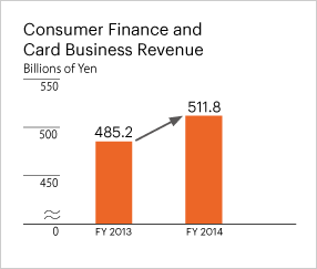 Consumer Finance and Card Business Revenue