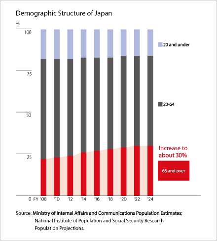 Demographic Structure of Japan