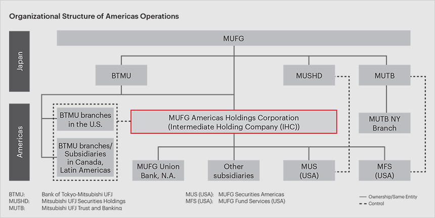 Organizational Structure of Americas Operations